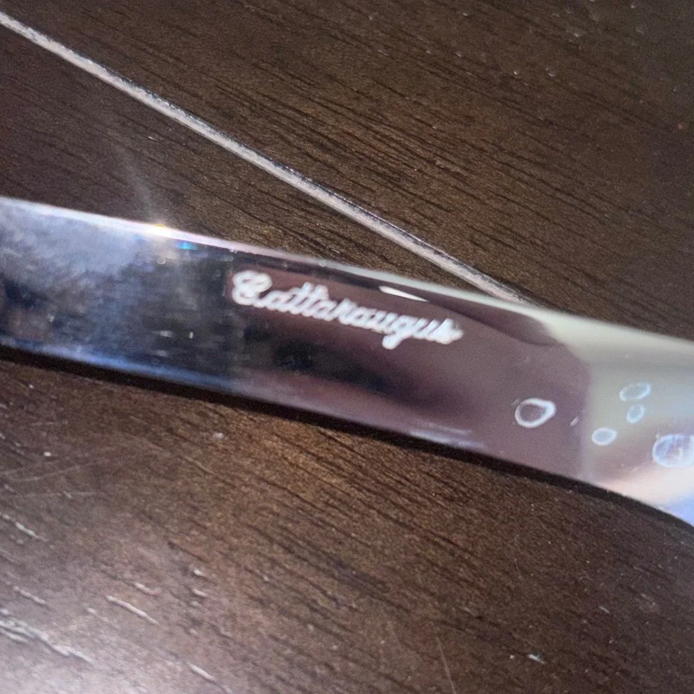 Cattaraugus | Kitchen Knife |‎ 9 inch | Acrylic Handle | MCM